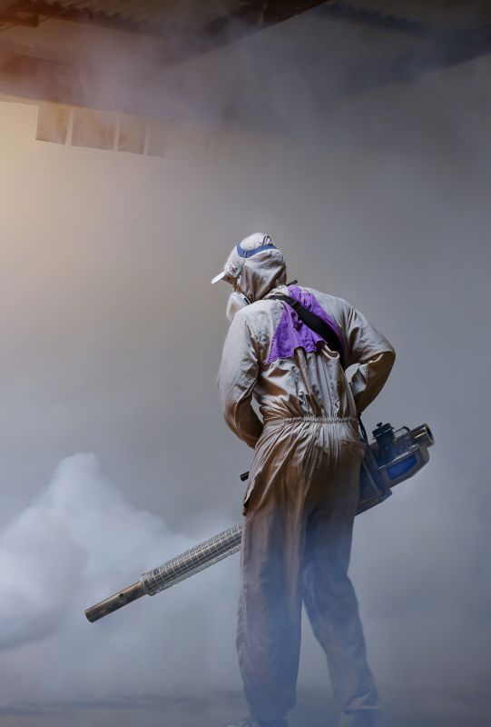 Rat Fumigation Service in Gwinnett County, GA
