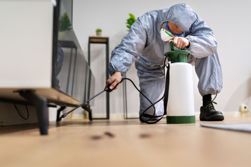Rat Fumigation Service in Coeur D Alene, ID